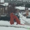 Buren doen sneeuwgevecht
