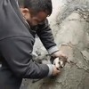 Hondenfluisteraar redt husky