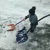 Koter helpt met sneeuwschuiven