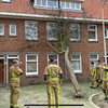 Brandweer neemt afscheid van boom