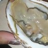 Lekkere oester