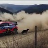 Bochtje om bij de rally van Mexico