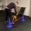 Hondje trainen voor parcours #2