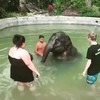 Olifant en nijlpaard spelen in het water