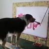 Hond maakt kunst