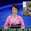 Nieuws uit Noord-Korea