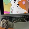 Hamster and chill