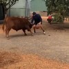 Trainen met de Chicago Bulls