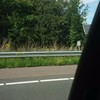Scooters auf dem Autobahn