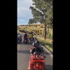 Bikers komen kudde bizons tegen