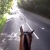 Wielrenners geven geen fuck