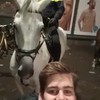 Selfie bij het paard