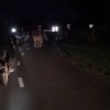 Twentenaar komt koeien tegen in Drenthe