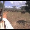 Lekker op safari