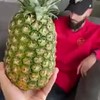 How To ananas
