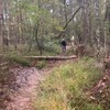 Mountainbikert gaat voor de stunt