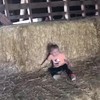 Slingeren op de boerderie