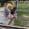 Shetlander rodeo