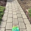 Skateboardlol in de tuin