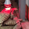Heftige geluiden bij seksende schildpadden