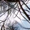 Wandelen in het bos met je kleinzoon