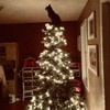 Katten en kerstbomen