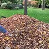 Bladeren uit je tuin ruimen