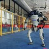 Boston Dynamics robots