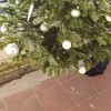 De kerstboom kan weg