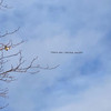 Vliegtuigje met banner gespot in Almere