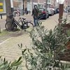 Gemoederen lopen hoog op in Den Haag