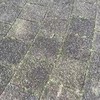 RE: Mondkapweigeraar vs onderkoffer politie