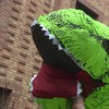 Amsterdammer laat dino uit