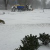 Sneeuwschuiver vast in de sneeuw