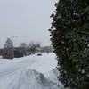 Sneeuwpret voor gevorderden