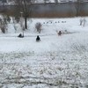 Voor het eerst sleeën