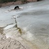 Domme hond zakt door t ijs