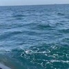 Lekker op zee