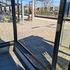 Paard op station Baflo