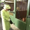 Queen Elizabeth maakt het goed