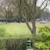 Feyenoorder versus polisie