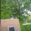 Dat is pech, tent weg