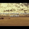 Joe Rogan over cannabis