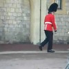 Palace Guard moet kotsen