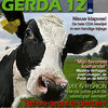 Gerda 12