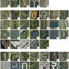 Google Earth Alfabet