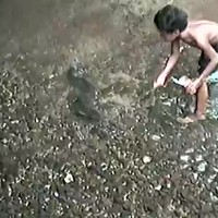 Mega paling gespot op Tahiti