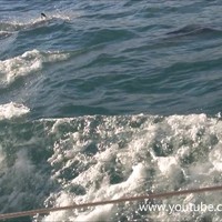 Caribisch tafereel voor Franse kust