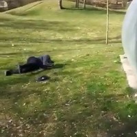 Skatedude doet truuk