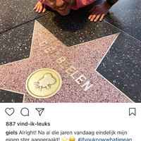 Van Der Geest dist Beelen